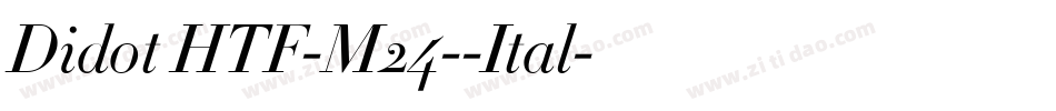 Didot HTF-M24--Ital字体转换